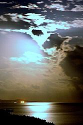 Moon rising and not the sun this time. Roatan, Honduras. by Shawn Jackson 